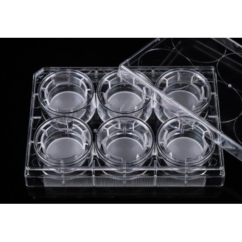 PC Memberane Cell Culture Inserts for 6well plates China Manufacturer